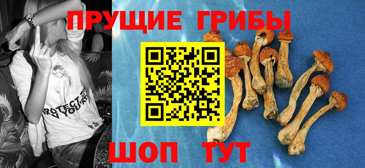Галлюциногенные грибы Cubensis  Вход с VPN  Северобайкальск 