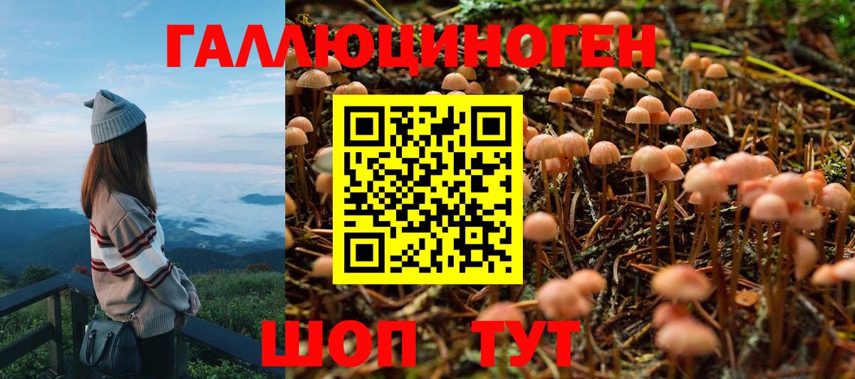 Псилоцибиновые грибы Cubensis Северобайкальск